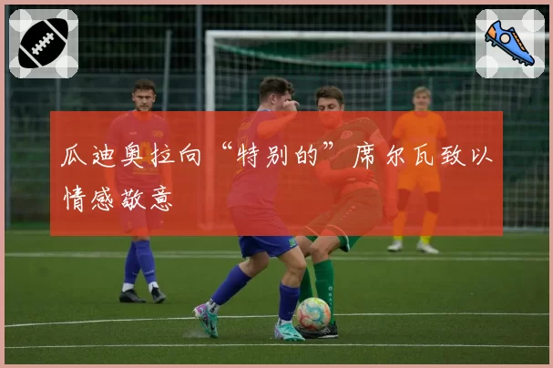 瓜迪奥拉向“特别的”席尔瓦致以情感敬意