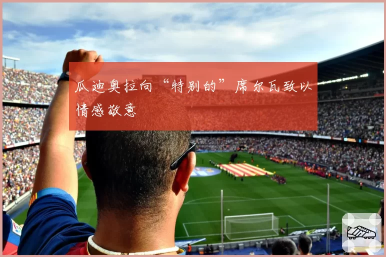 瓜迪奥拉向“特别的”席尔瓦致以情感敬意