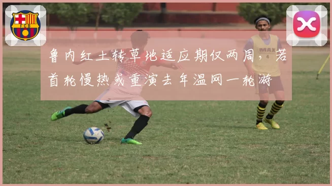 鲁内红土转草地适应期仅两周，若首轮慢热或重演去年温网一轮游
