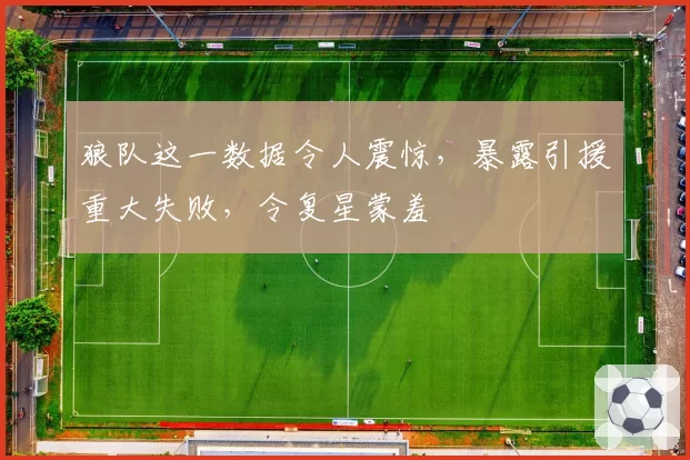 狼队这一数据令人震惊，暴露引援重大失败，令复星蒙羞