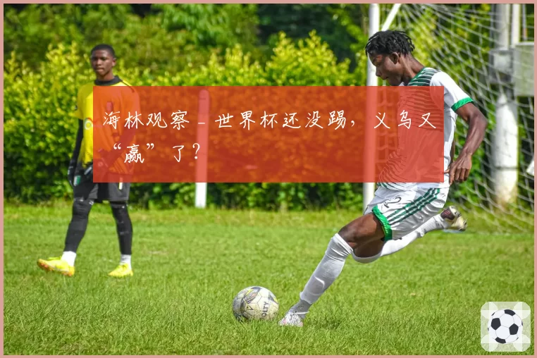 海林观察 _ 世界杯还没踢,义乌又“赢”了?